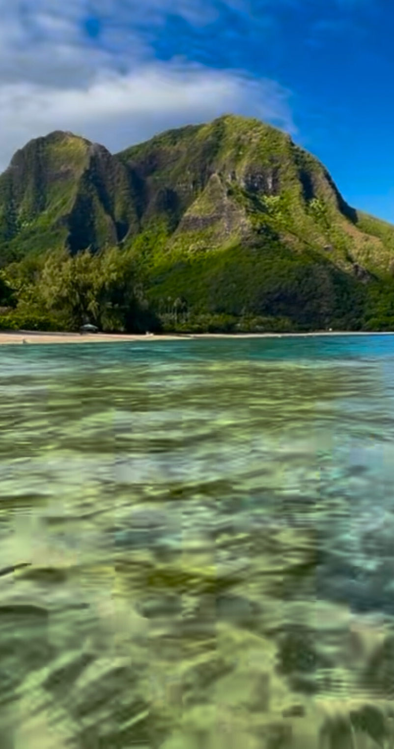 img-header